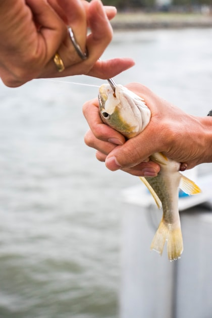 The Importance of Fishing Gear